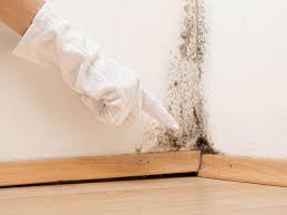 Best Asbestos and Lead Testing During Mold Inspection  in Mansfield, PA